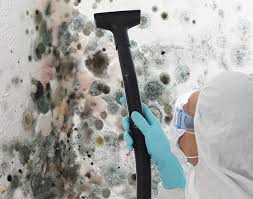  Belford, NJ Mold Removal & Remediation Pros